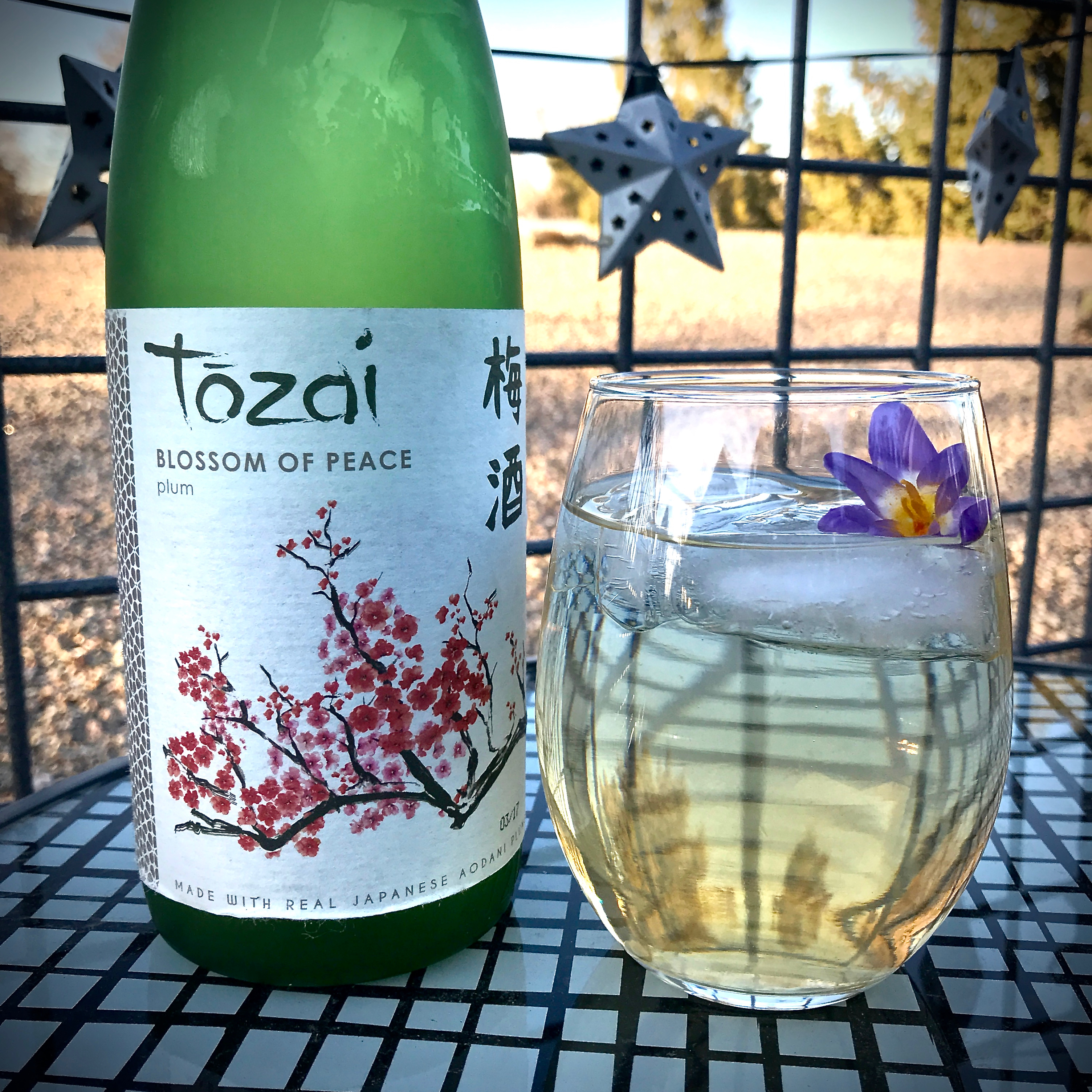 New Seasonal Sake Cocktails